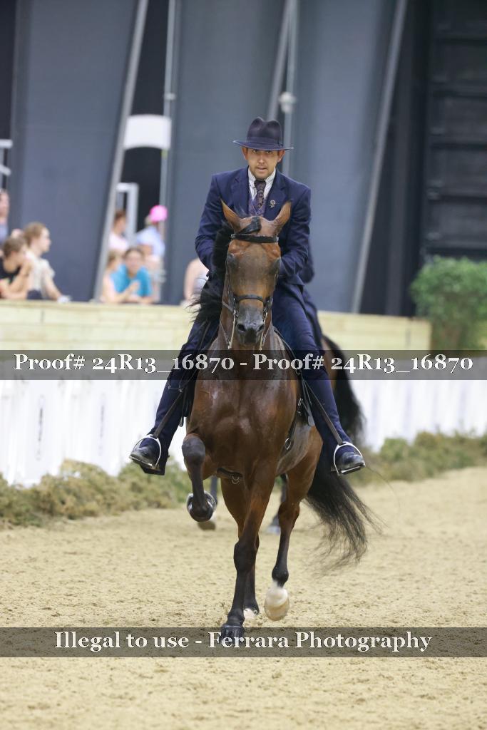 Proof 24R13_16870