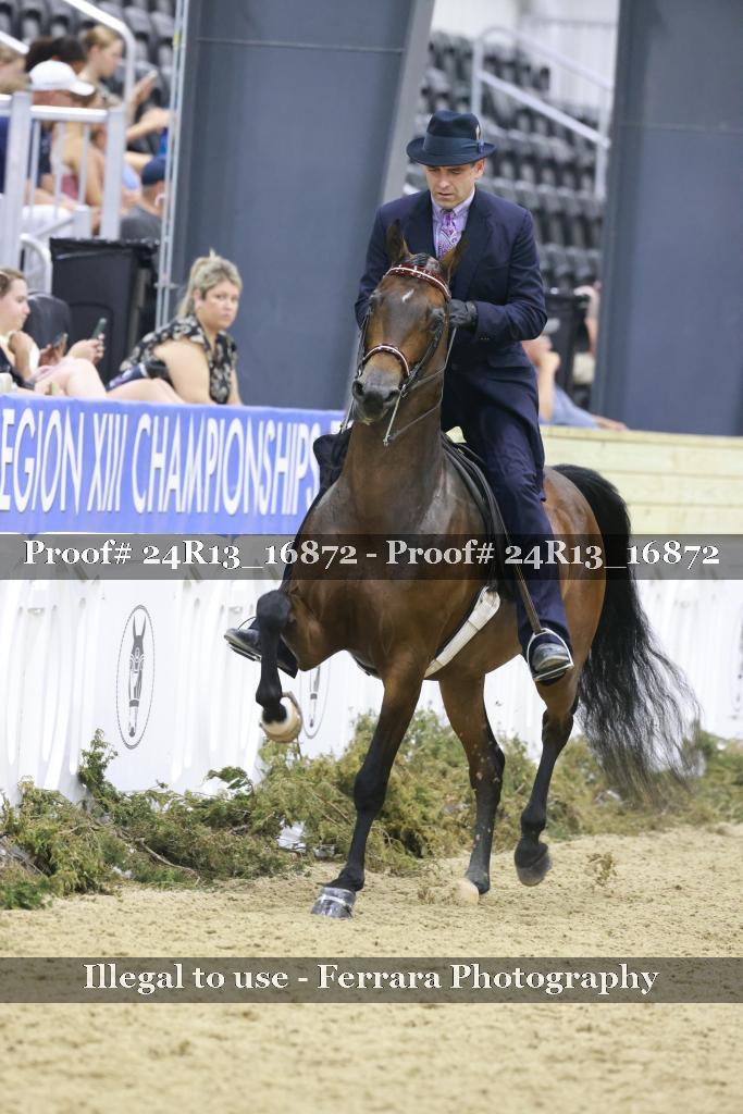Proof 24R13_16872