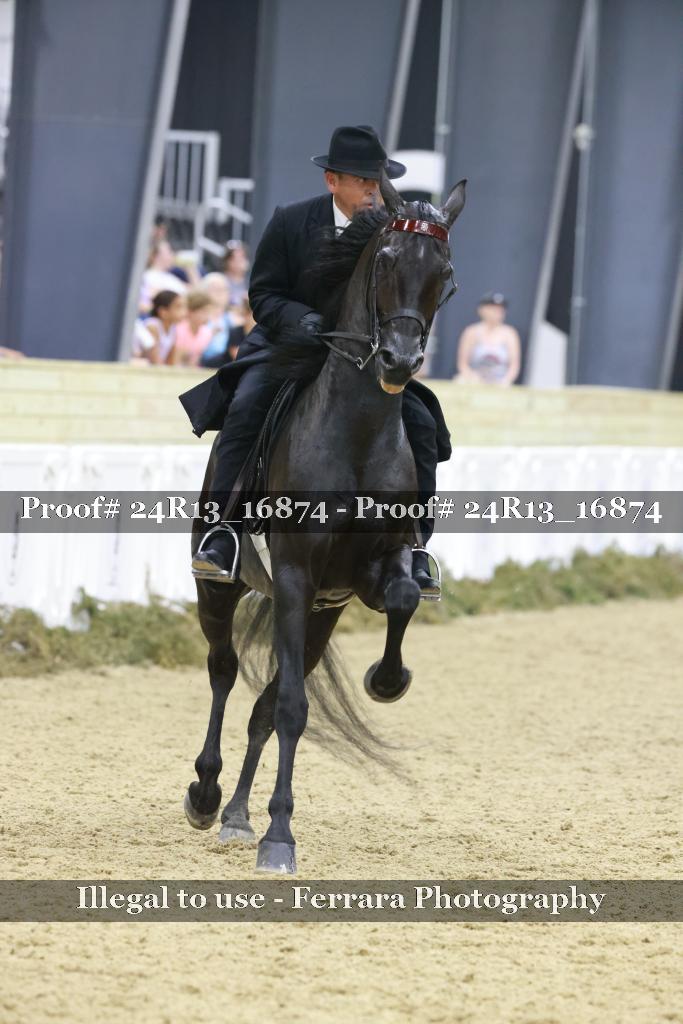 Proof 24R13_16874