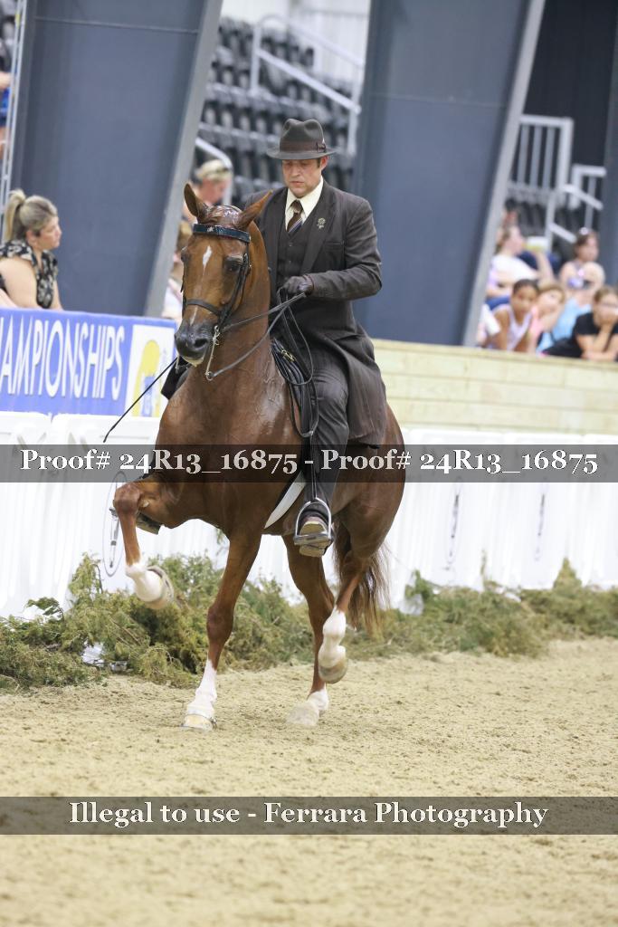 Proof 24R13_16875