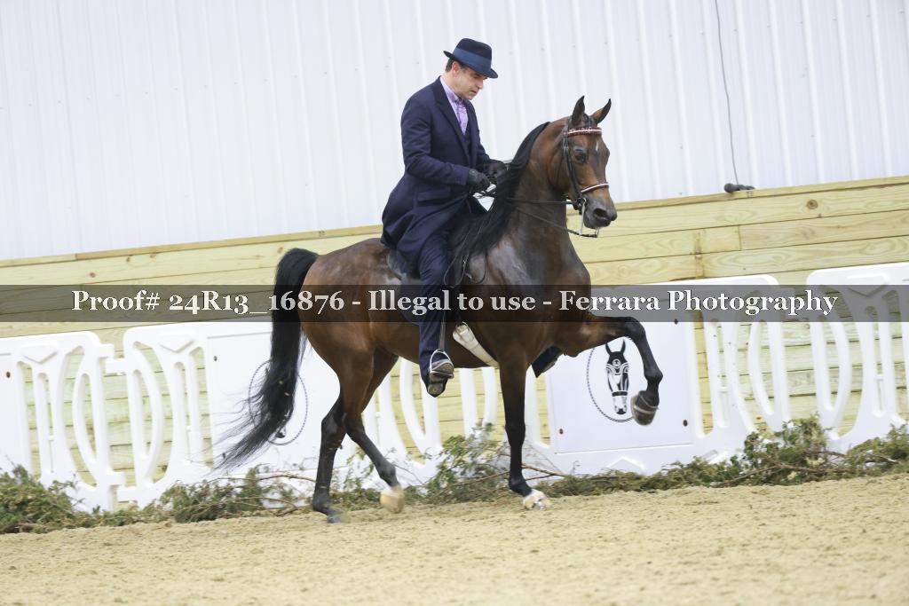 Proof 24R13_16876