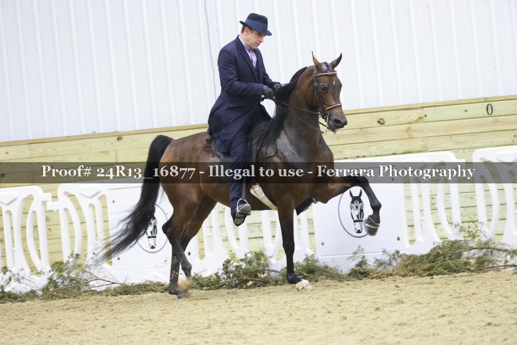 Proof 24R13_16877