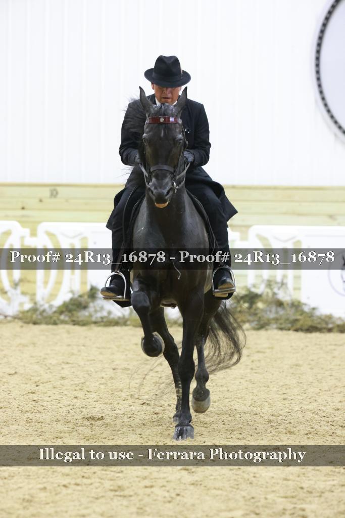 Proof 24R13_16878