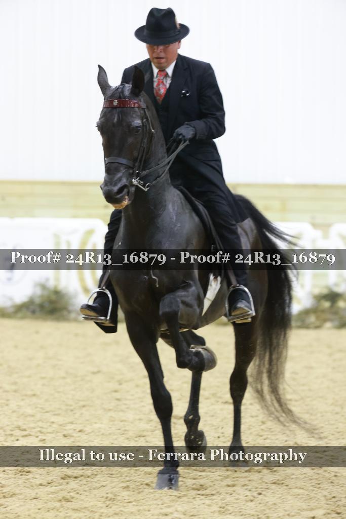 Proof 24R13_16879