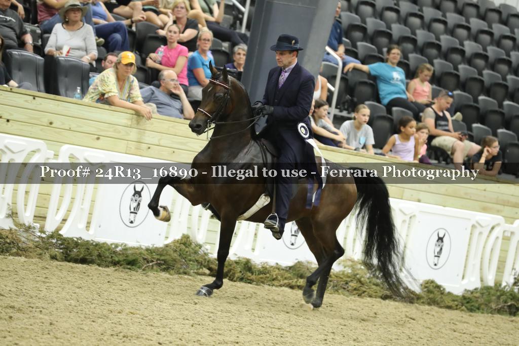 Proof 24R13_16890