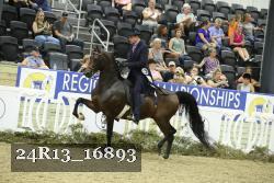 24R13_16893 proof