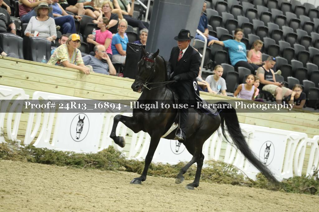 Proof 24R13_16894