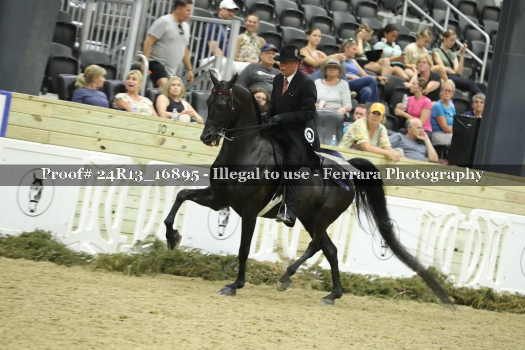 Proof 24R13_16895