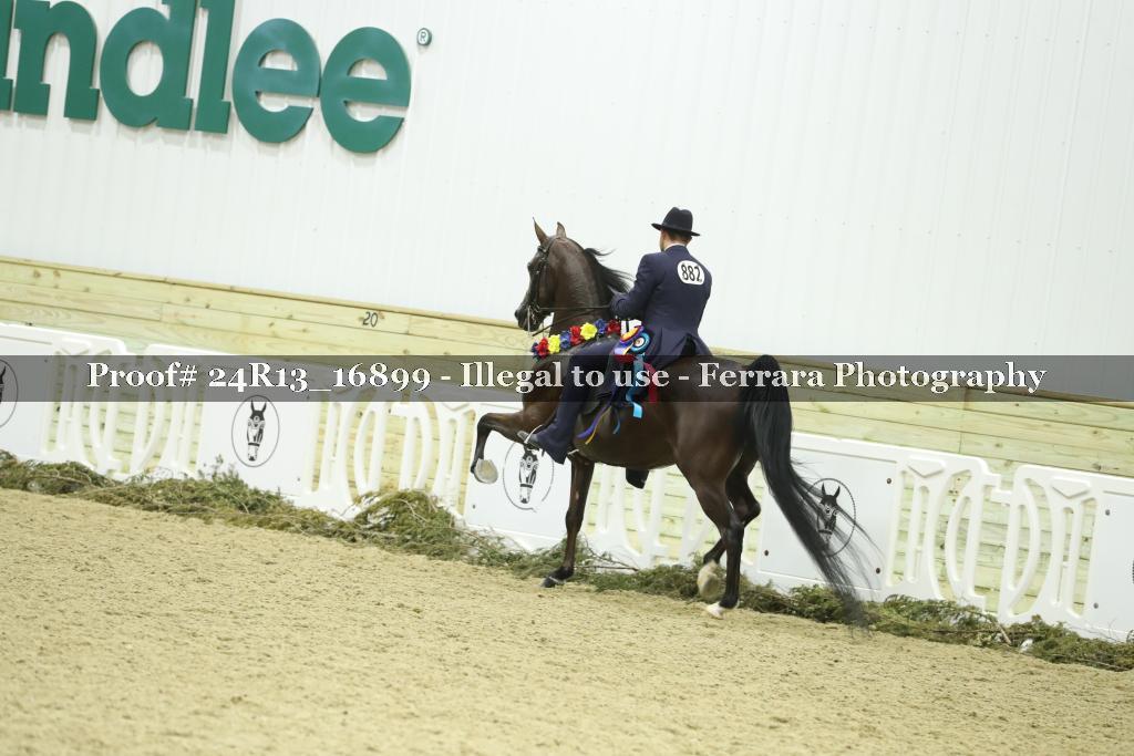 Proof 24R13_16899