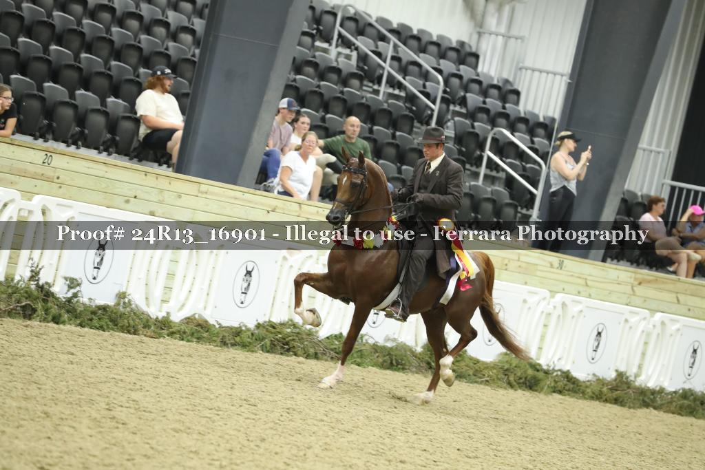 Proof 24R13_16901
