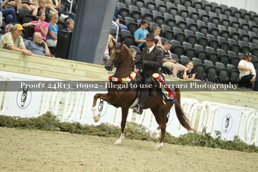 Proof 24R13_16902