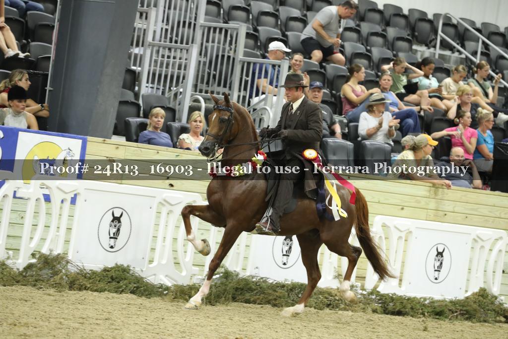Proof 24R13_16903