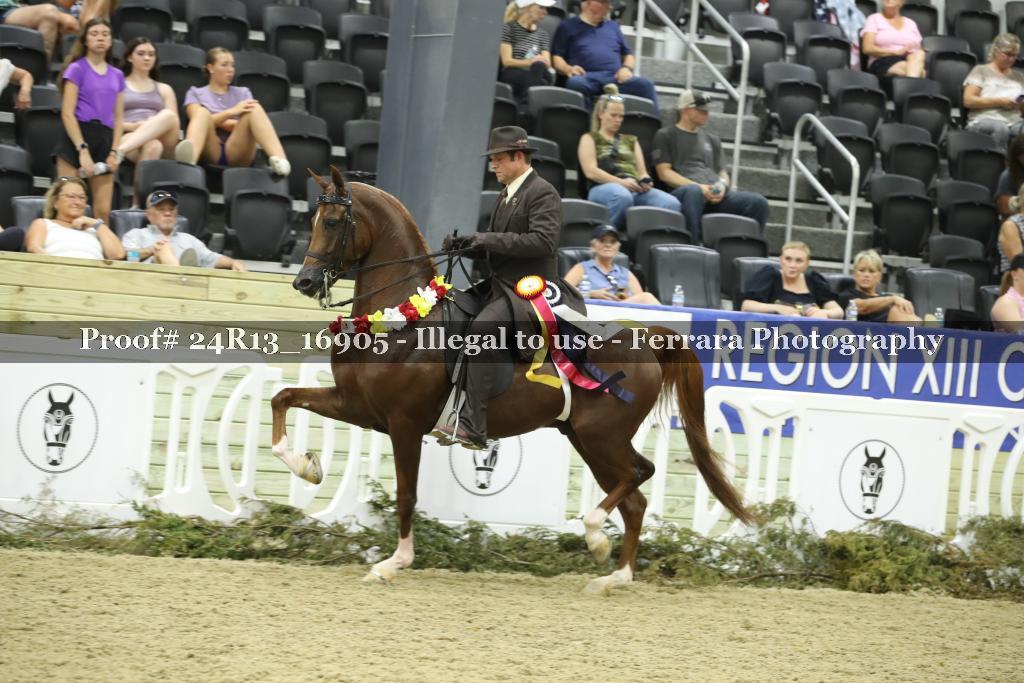 Proof 24R13_16905