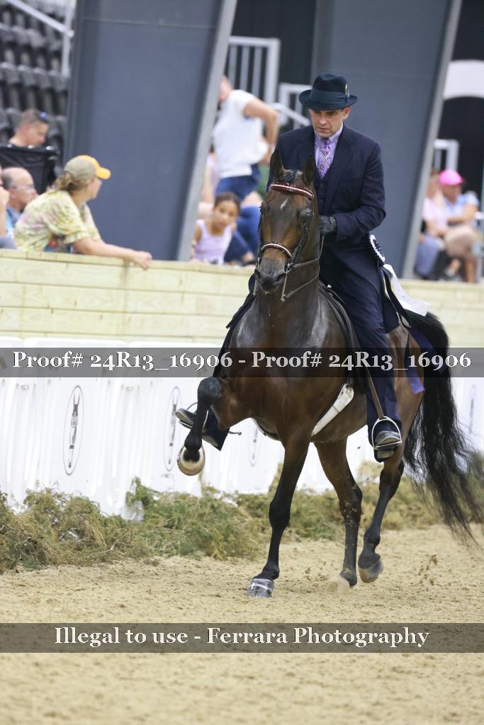 Proof 24R13_16906