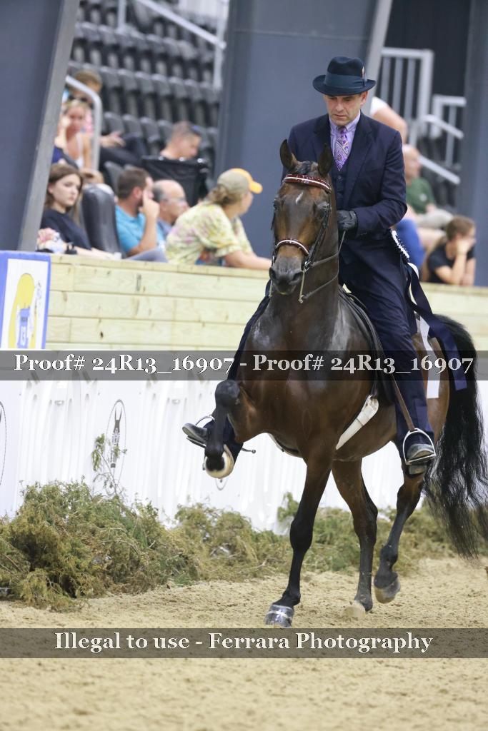 Proof 24R13_16907