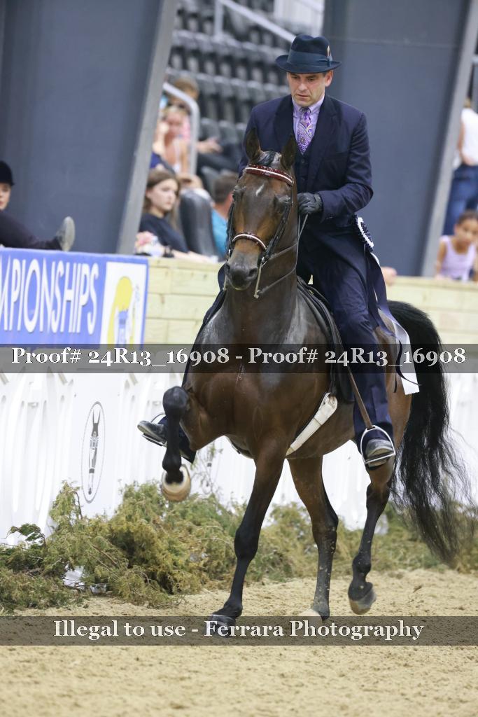 Proof 24R13_16908