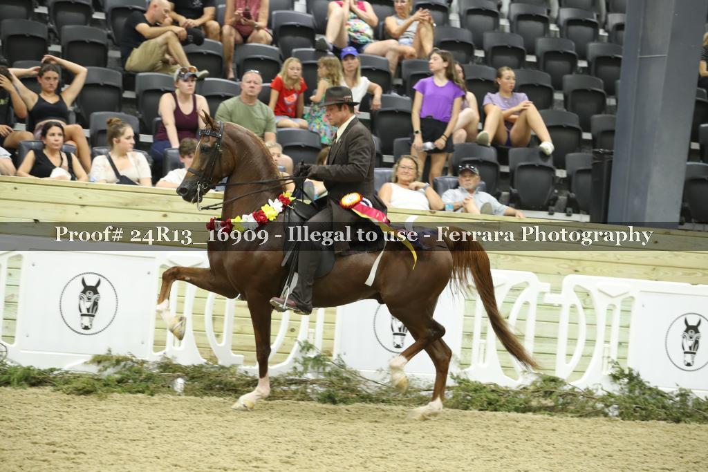 Proof 24R13_16909