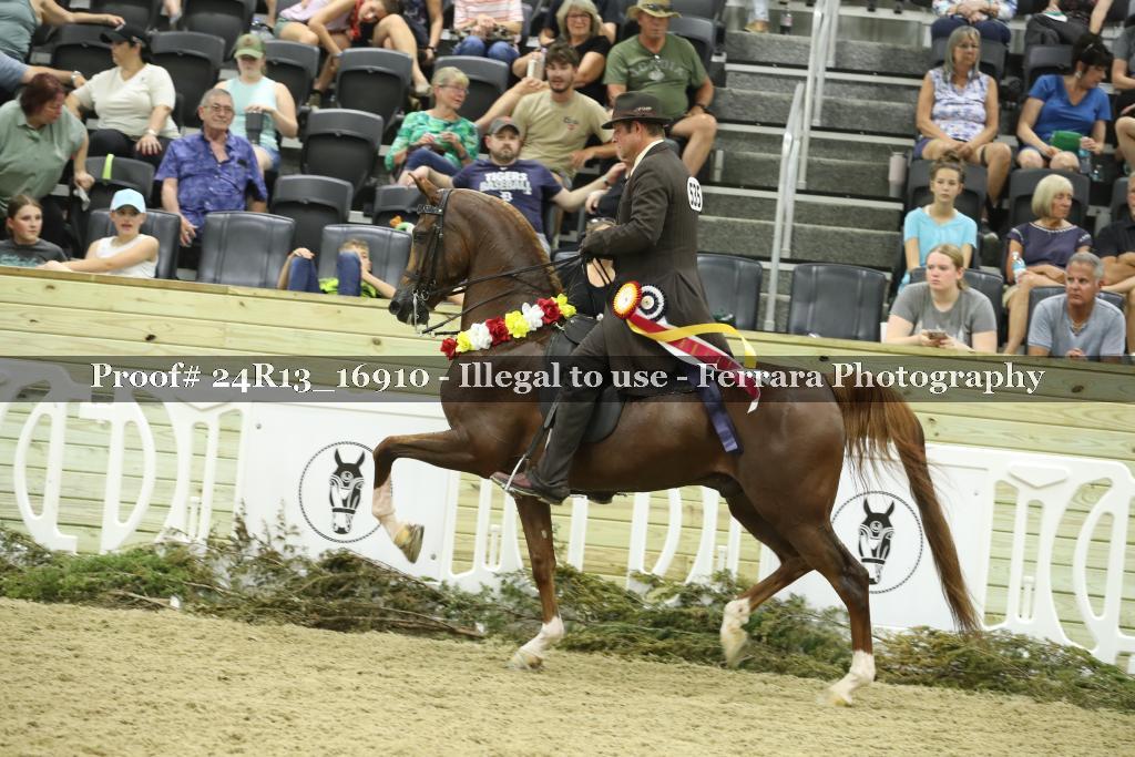 Proof 24R13_16910