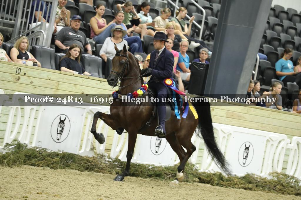 Proof 24R13_16915