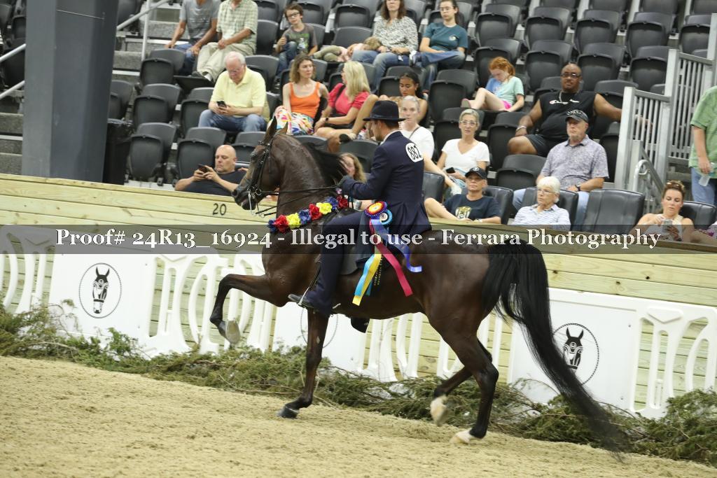 Proof 24R13_16924
