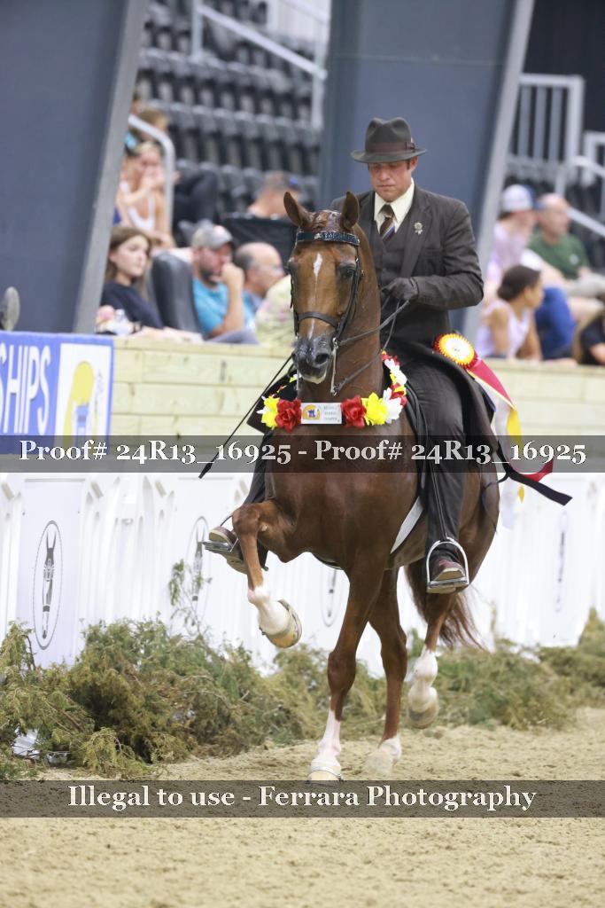 Proof 24R13_16925