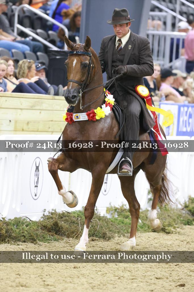 Proof 24R13_16928