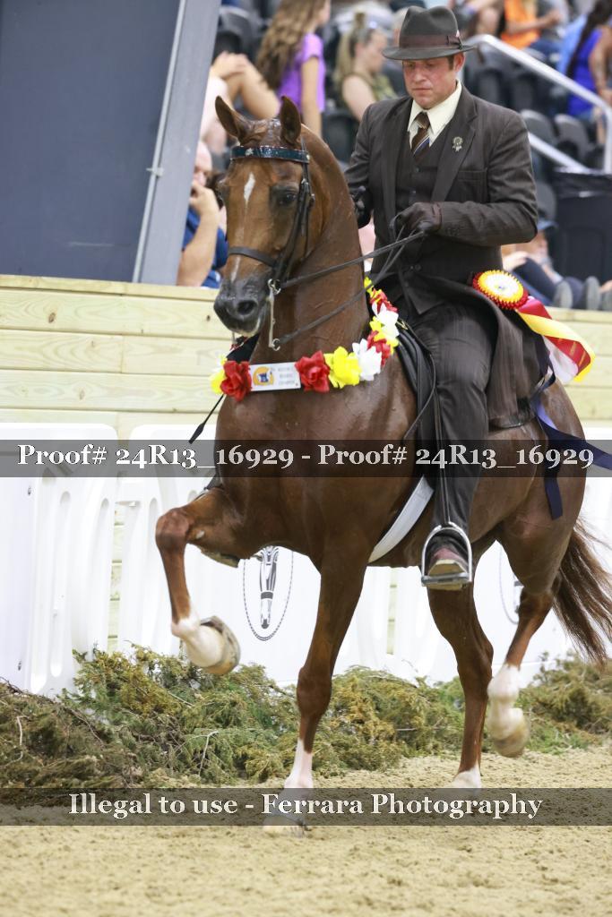 Proof 24R13_16929