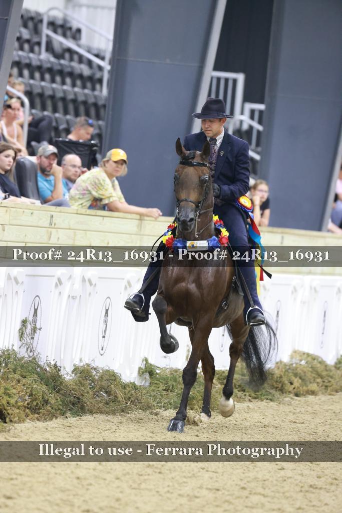Proof 24R13_16931