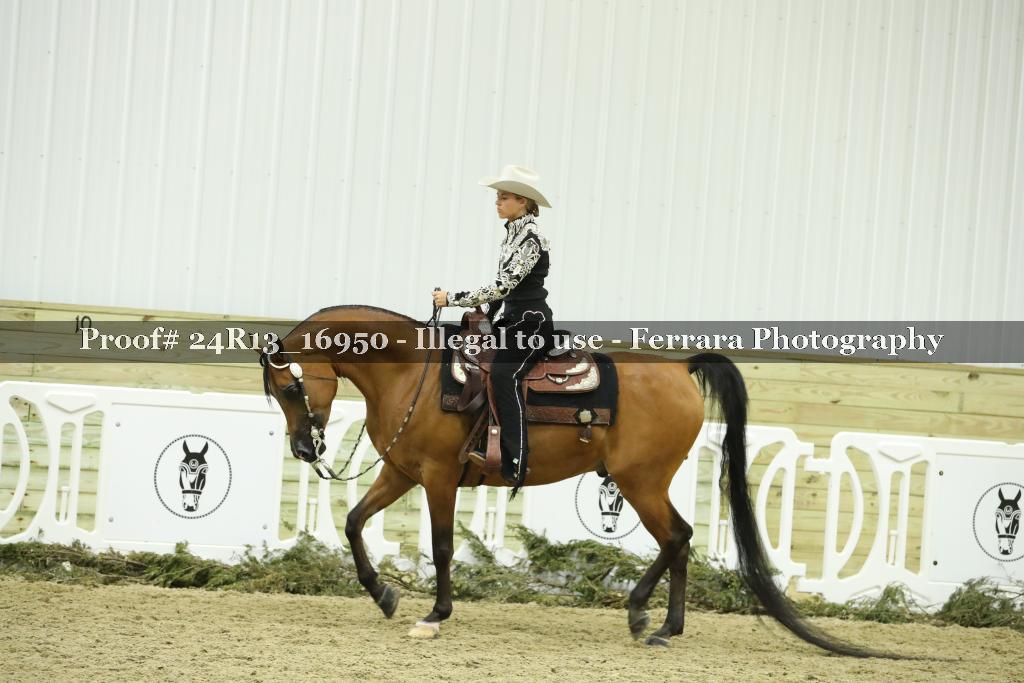 Proof 24R13_16950
