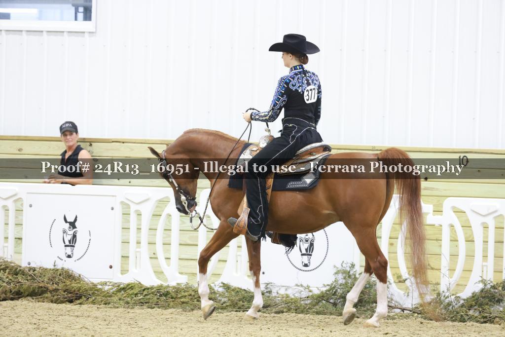 Proof 24R13_16951