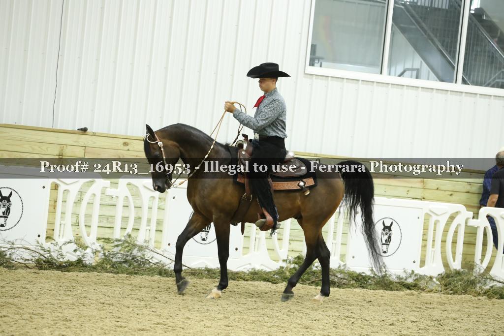 Proof 24R13_16953