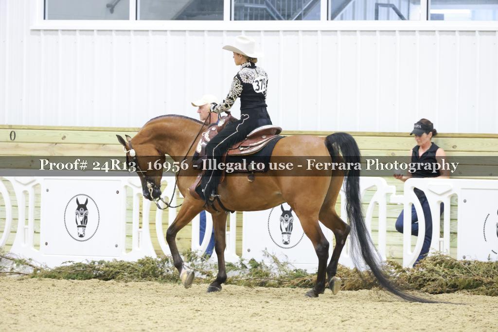 Proof 24R13_16956