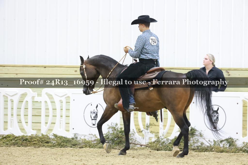 Proof 24R13_16959