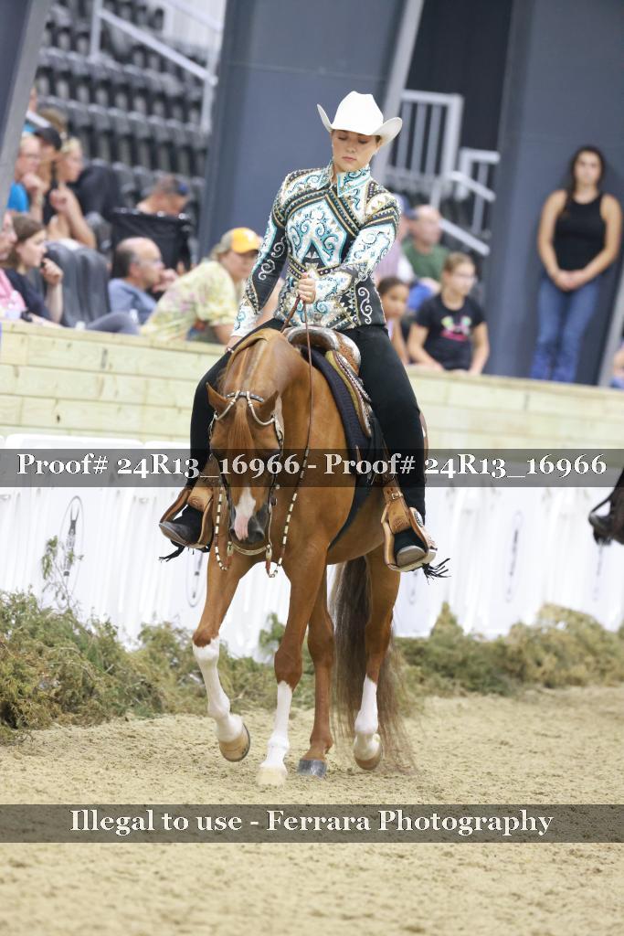 Proof 24R13_16966