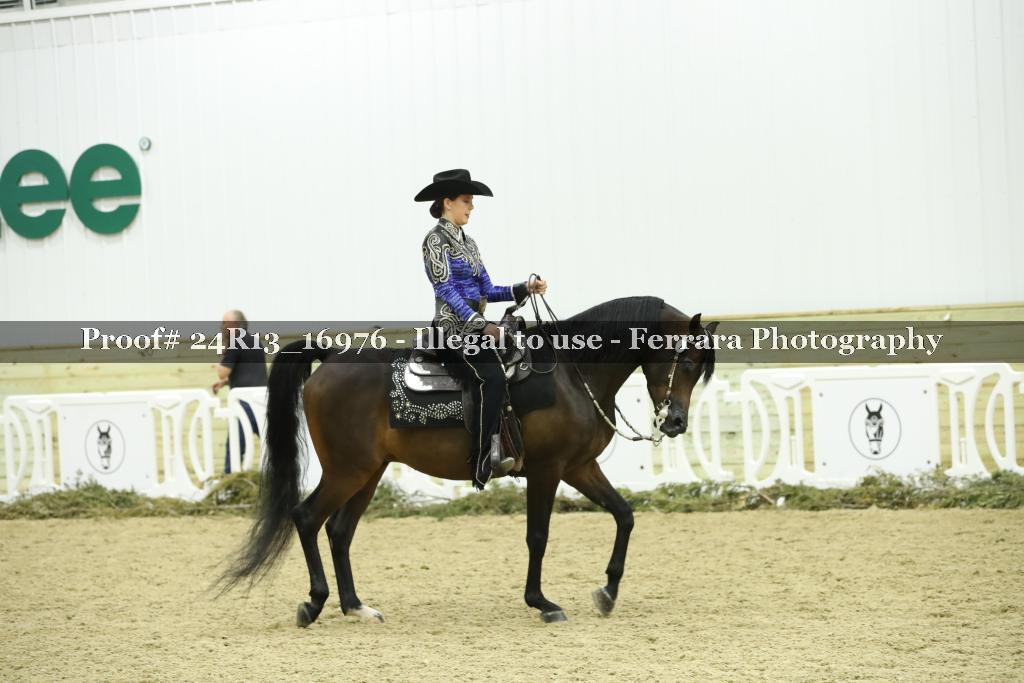Proof 24R13_16976