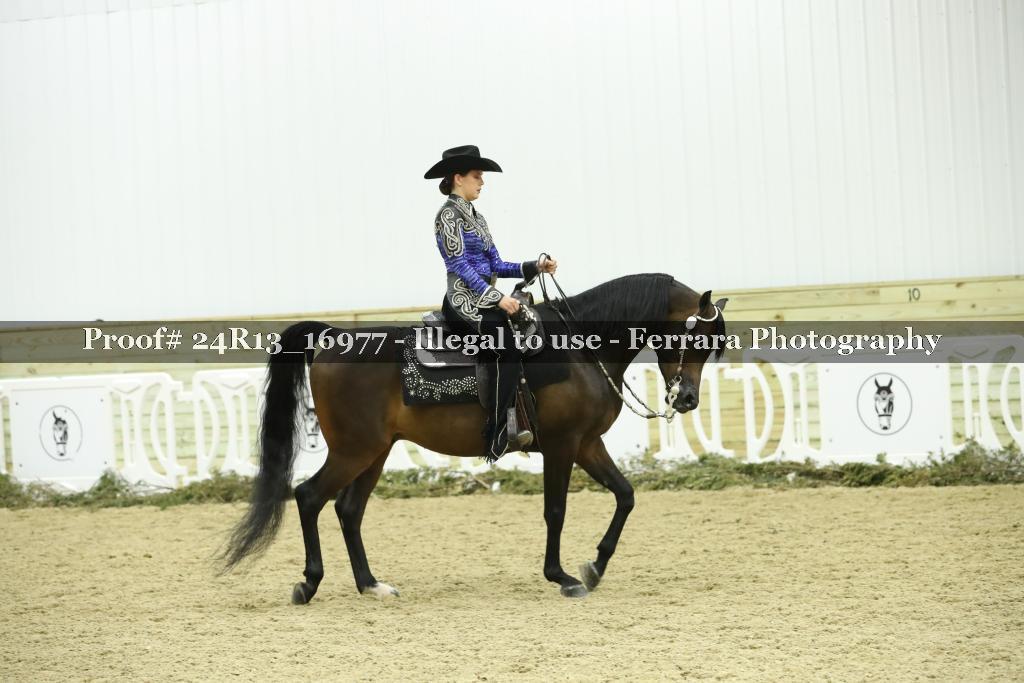 Proof 24R13_16977