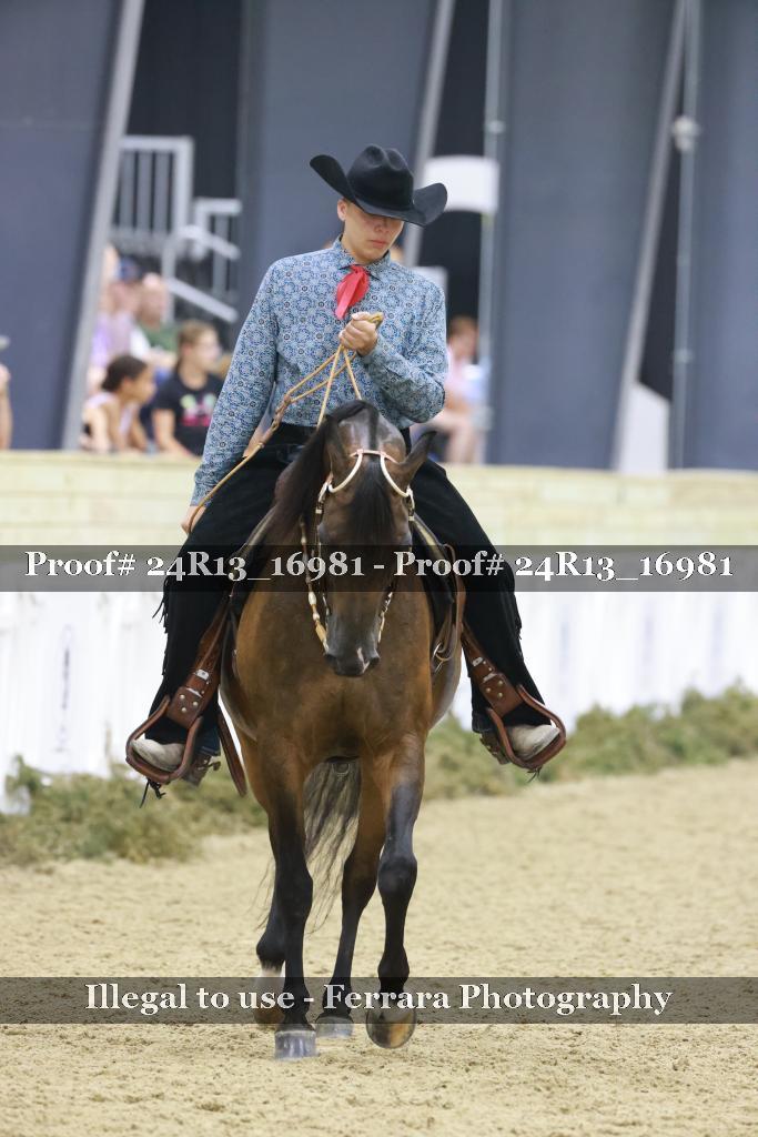 Proof 24R13_16981