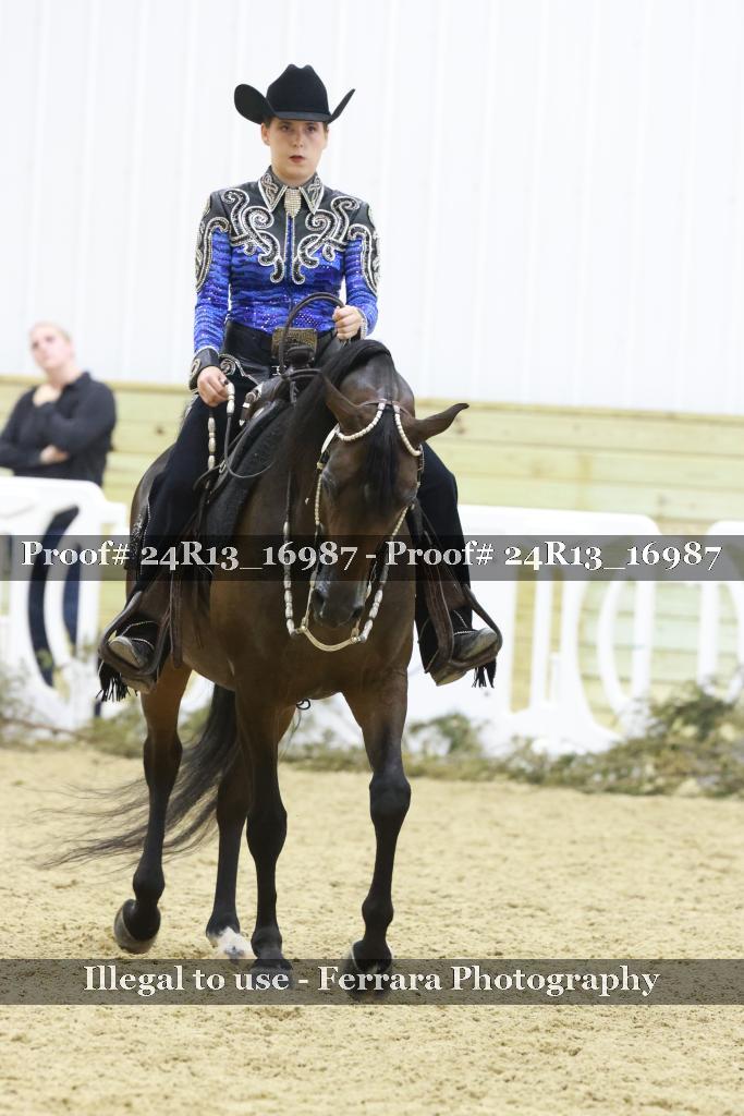 Proof 24R13_16987