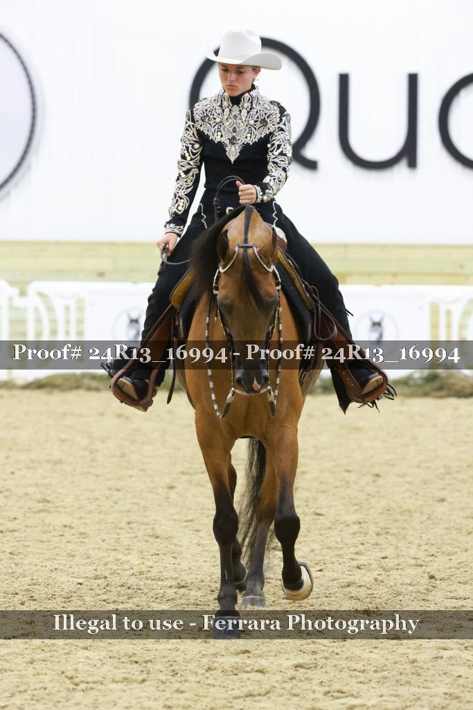 Proof 24R13_16994