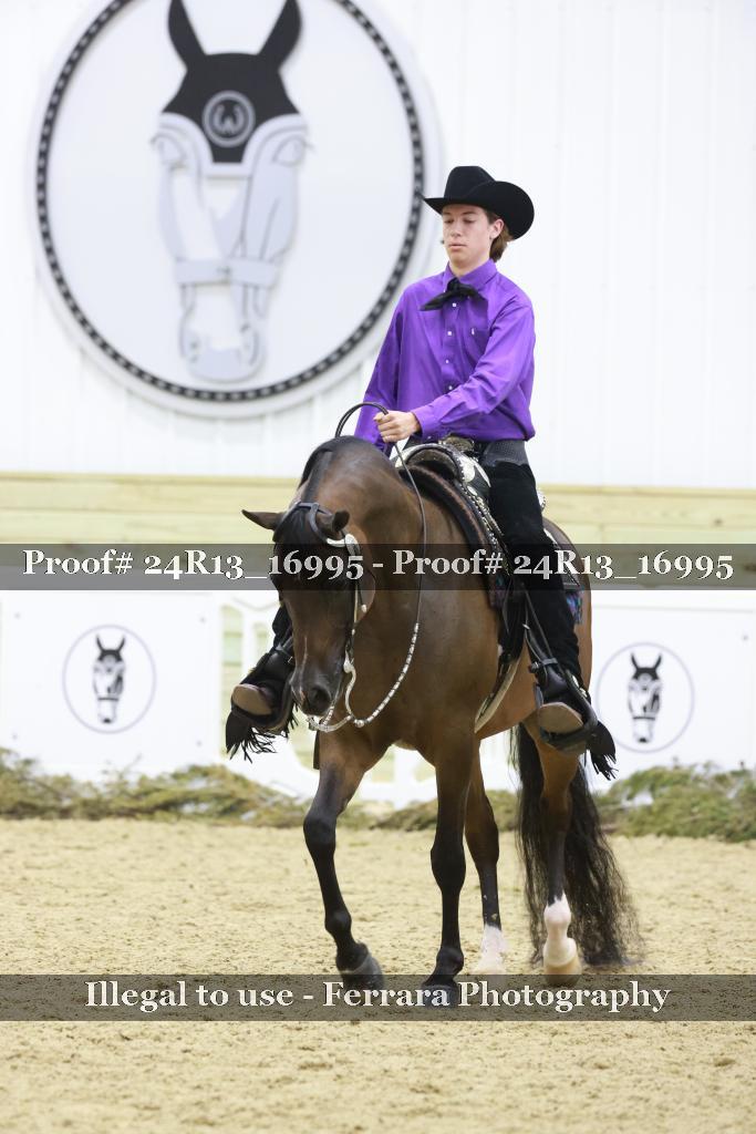 Proof 24R13_16995