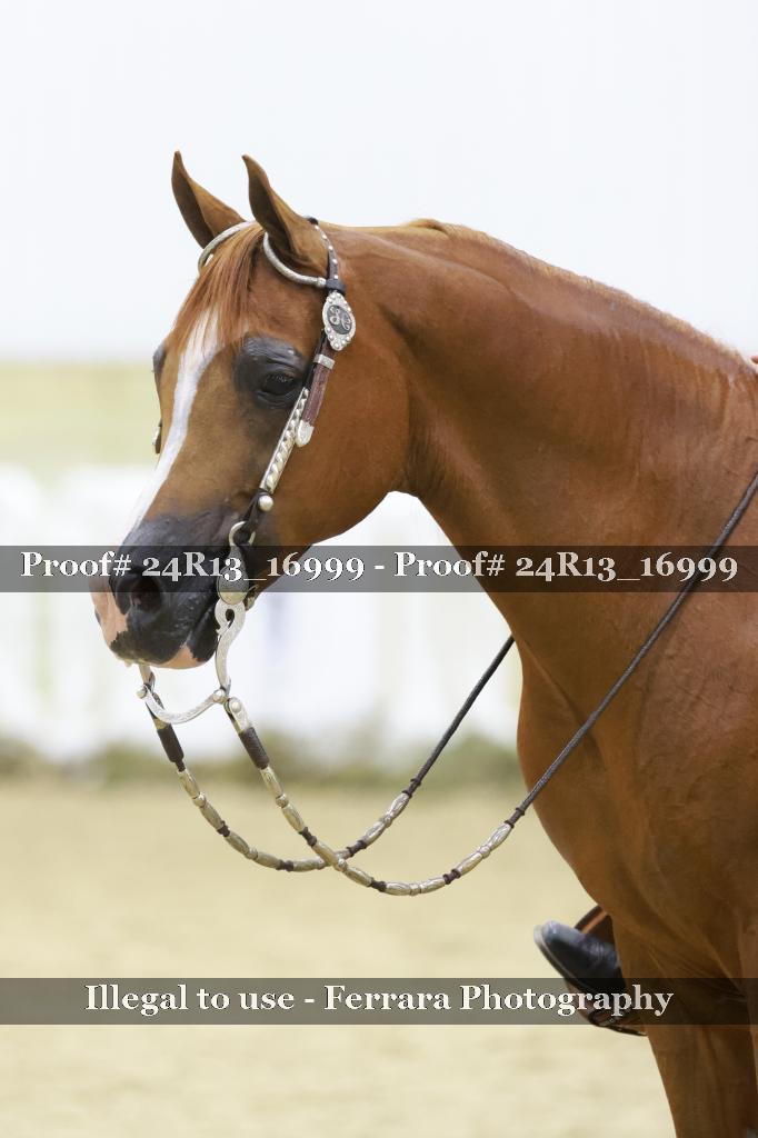 Proof 24R13_16999