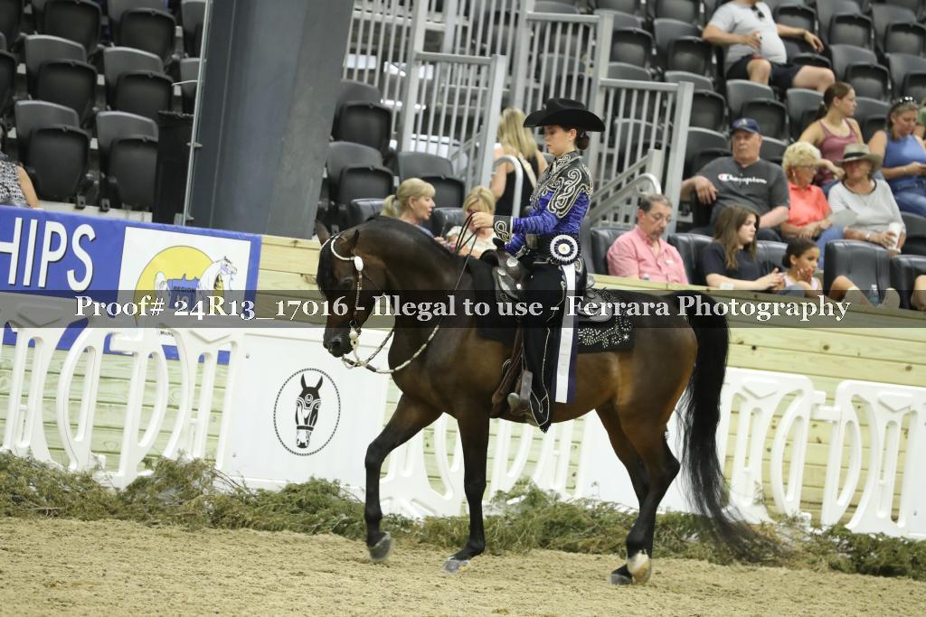 Proof 24R13_17016