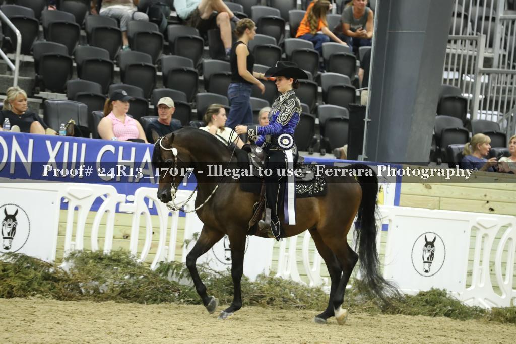 Proof 24R13_17017