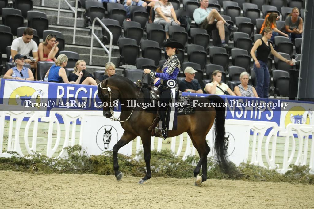 Proof 24R13_17018