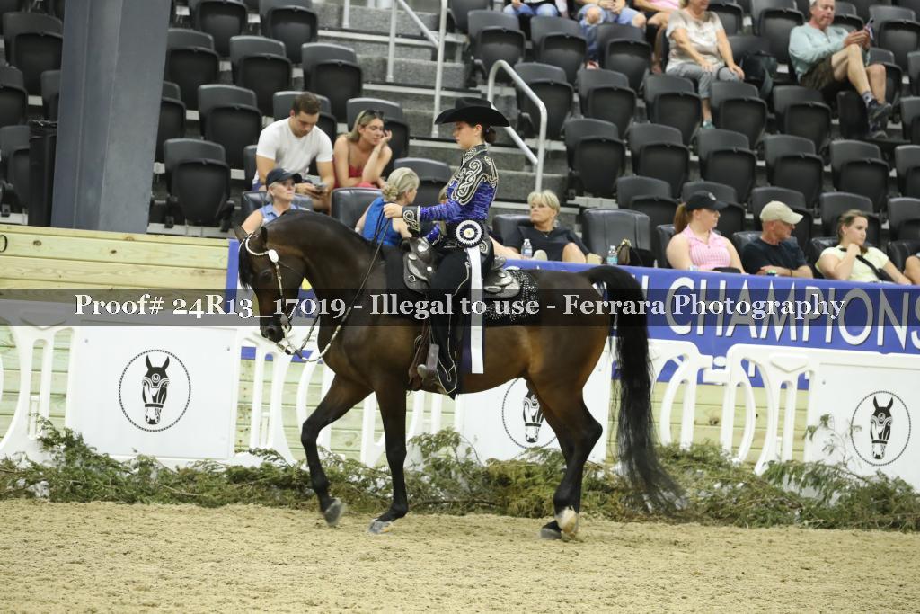 Proof 24R13_17019