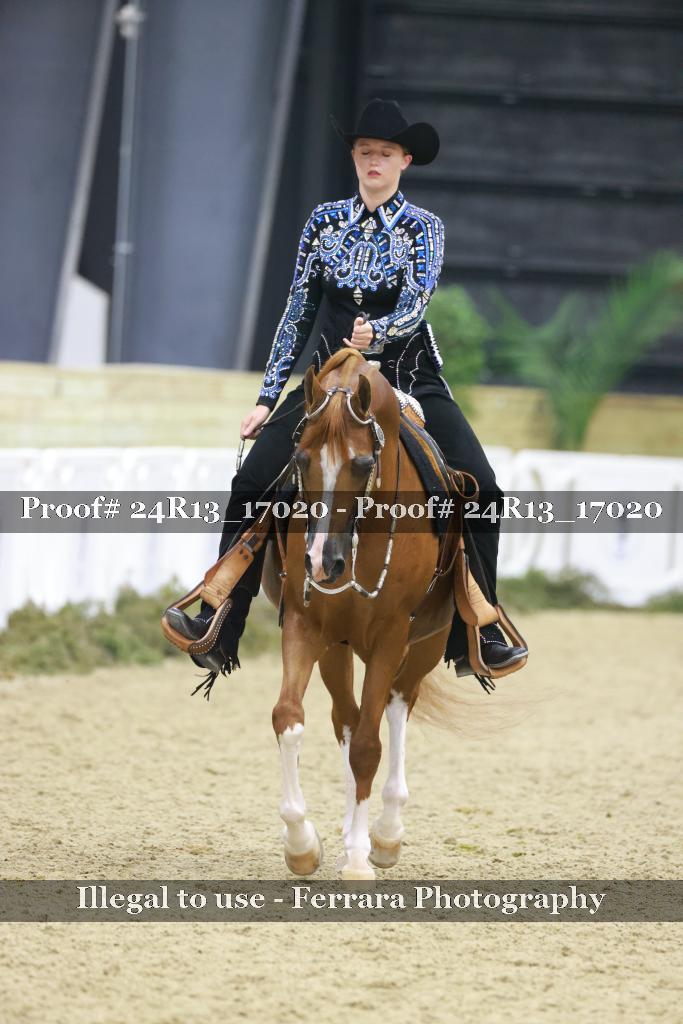 Proof 24R13_17020