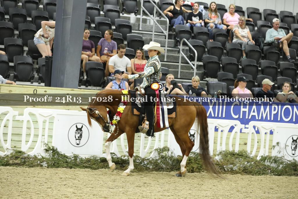 Proof 24R13_17028