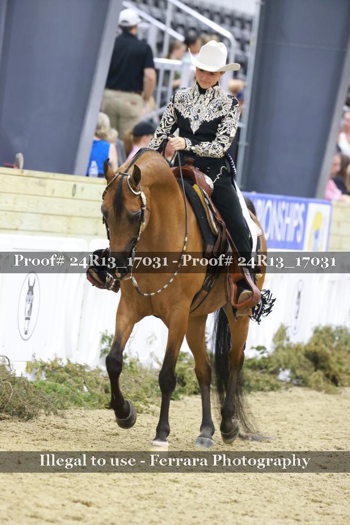Proof 24R13_17031