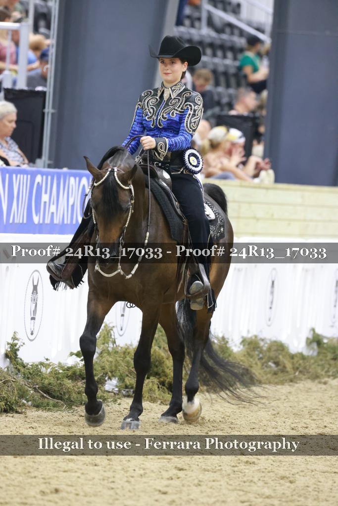 Proof 24R13_17033