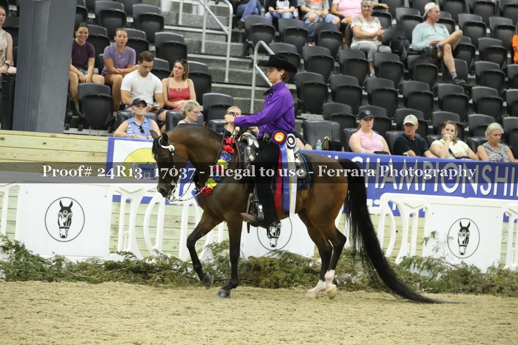 Proof 24R13_17037